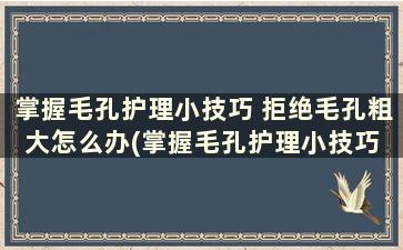 掌握毛孔护理小技巧 拒绝毛孔粗大怎么办(掌握毛孔护理小技巧 拒绝毛孔粗大的原因)